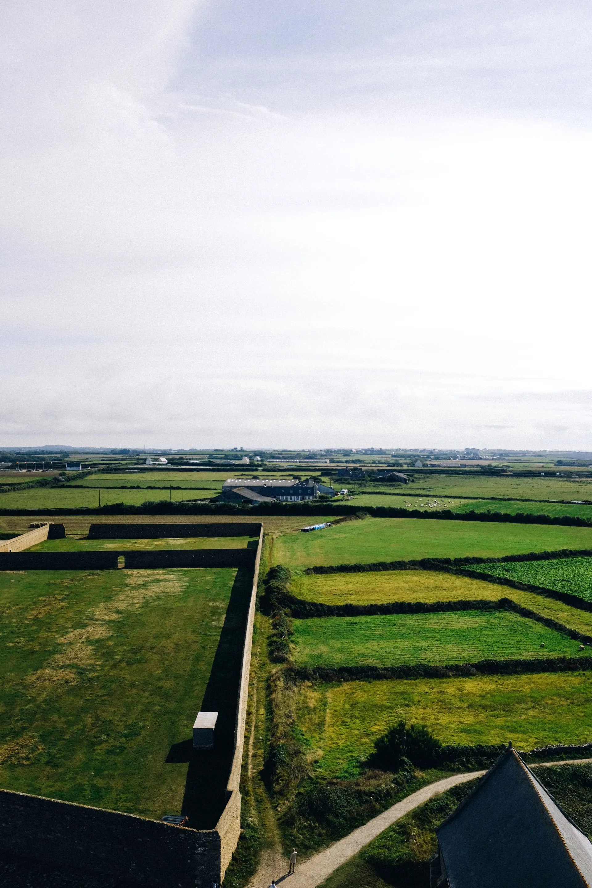 Family Land vs Government Land vs Community Land: Which Is Safe to Buy in Nigeria?