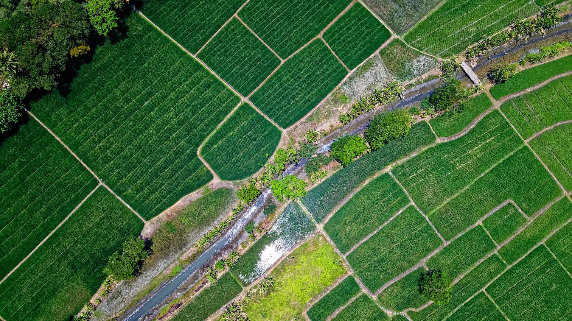 Cost of Land in Benin City and Edo State (2026): What You'll Pay by Area