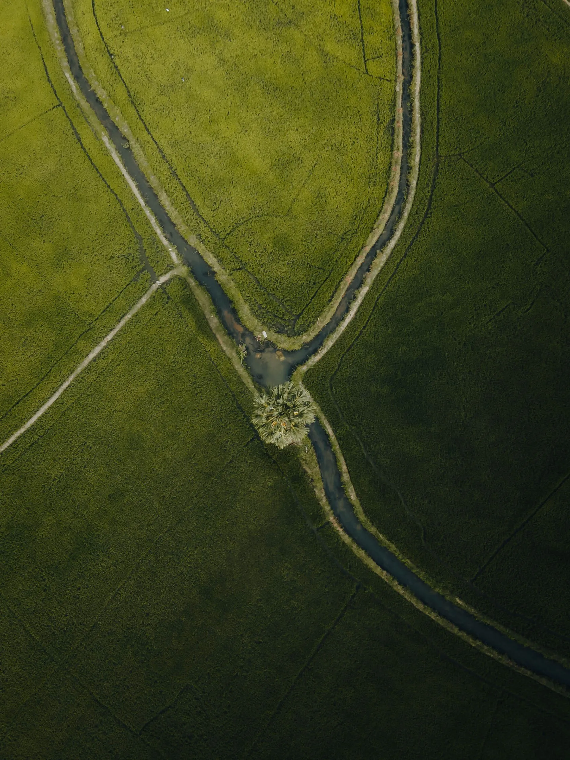 Aerial view of land and fields
